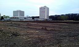 2012-04-02 19.46.57.jpg