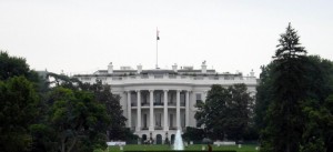White House    